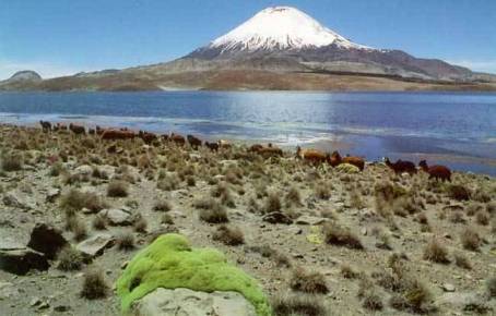 Cerro Parinacota