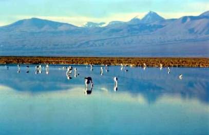 Salar de Atacama